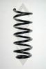 SPIDAN 56878 Coil Spring